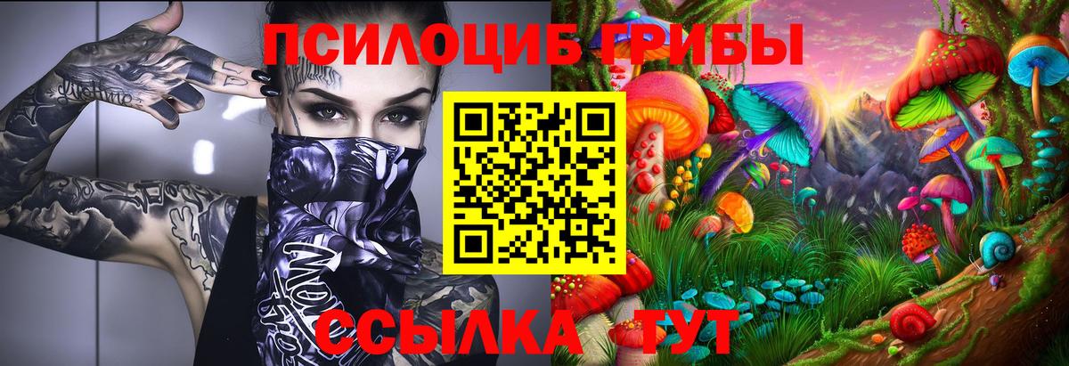 Псилоцибиновые грибы мухоморы Ковров