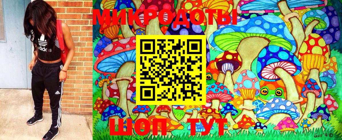 Галлюциногенные грибы Psilocybe  Вход с VPN  Ковров  Псилоцибиновые грибы ЛСД 